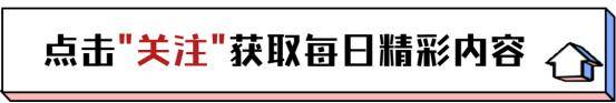 日本队教练压力巨大！，Scout遭遇五持续失利观众掌声雷动的简单介绍