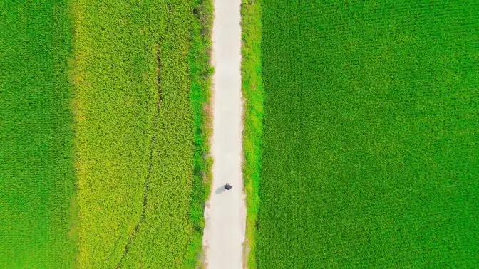 Yabo-".瞰?的简单介绍-Yabo